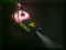 02270074.jpg (6151 Byte)