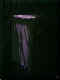 11270254.jpg (6915 Byte)